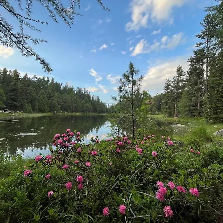 Chesa Munteratsch 2 1 2-zimmerwohnung 202 Typ G * 실파플라나