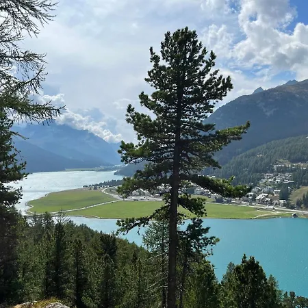 Chesa Munteratsch 2 1 2-zimmerwohnung 202 Typ G 席尔瓦普拉纳