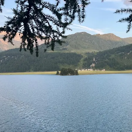 公寓 Chesa Munteratsch 2 1 2-zimmerwohnung 202 Typ G