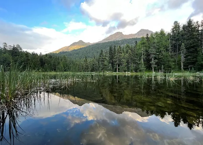 Apartman Chesa Munteratsch 2 1 2-zimmerwohnung 202 Typ G