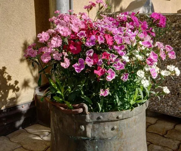 Apartman Chesa Munteratsch 2 1 2-zimmerwohnung 202 Typ G Silvaplana