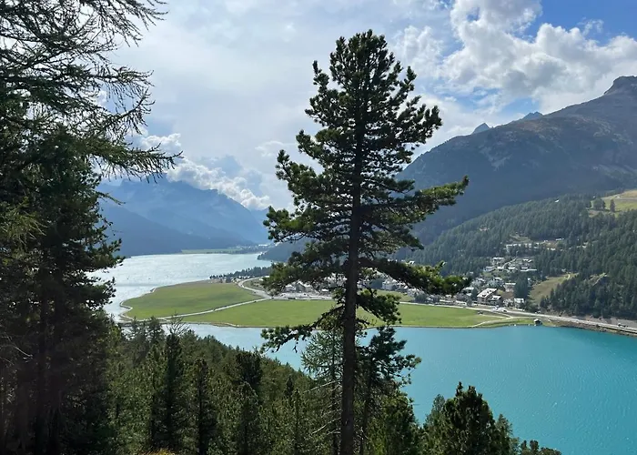 Chesa Munteratsch 2 1 2-zimmerwohnung 202 Typ G Silvaplana