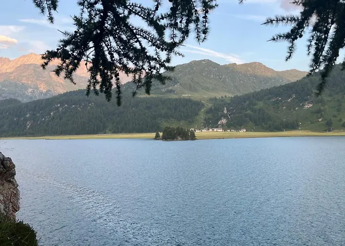 Apartman Chesa Munteratsch 2 1 2-zimmerwohnung 202 Typ G