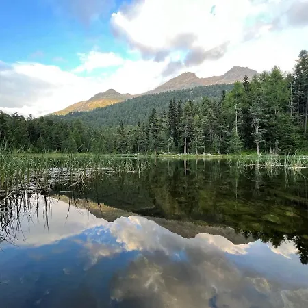 Appartamento Chesa Munteratsch 2 1 2-zimmerwohnung 202 Typ G