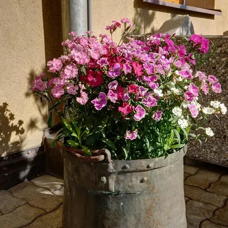 Appartamento Chesa Munteratsch 2 1 2-zimmerwohnung 202 Typ G Silvaplana